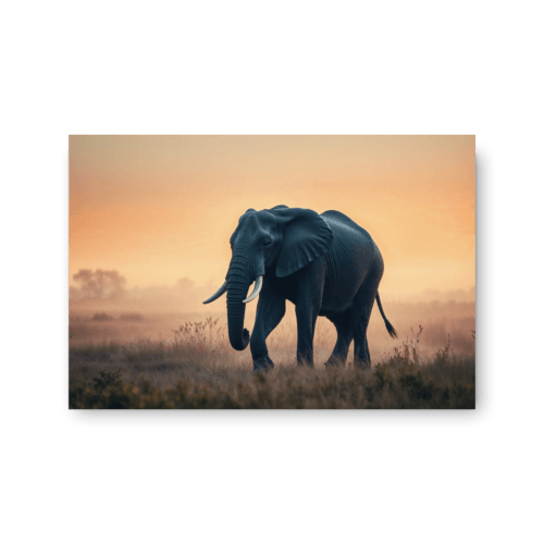 høykvalitets lerretsbilde elefant i afrikansk savanne