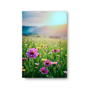høykvalitets lerretsbilder blømande eng i sollys